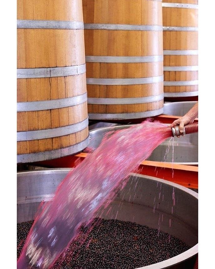 #8 - EVOLUTION OF THE CELLAR