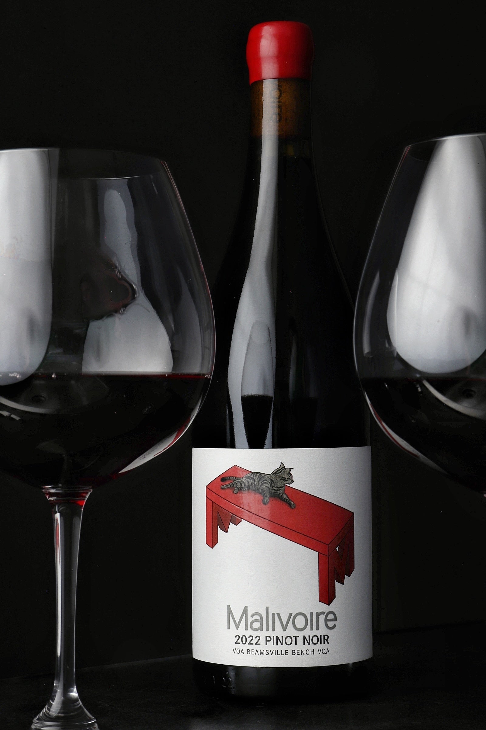 2022 'Cat on the Bench' Pinot Noir