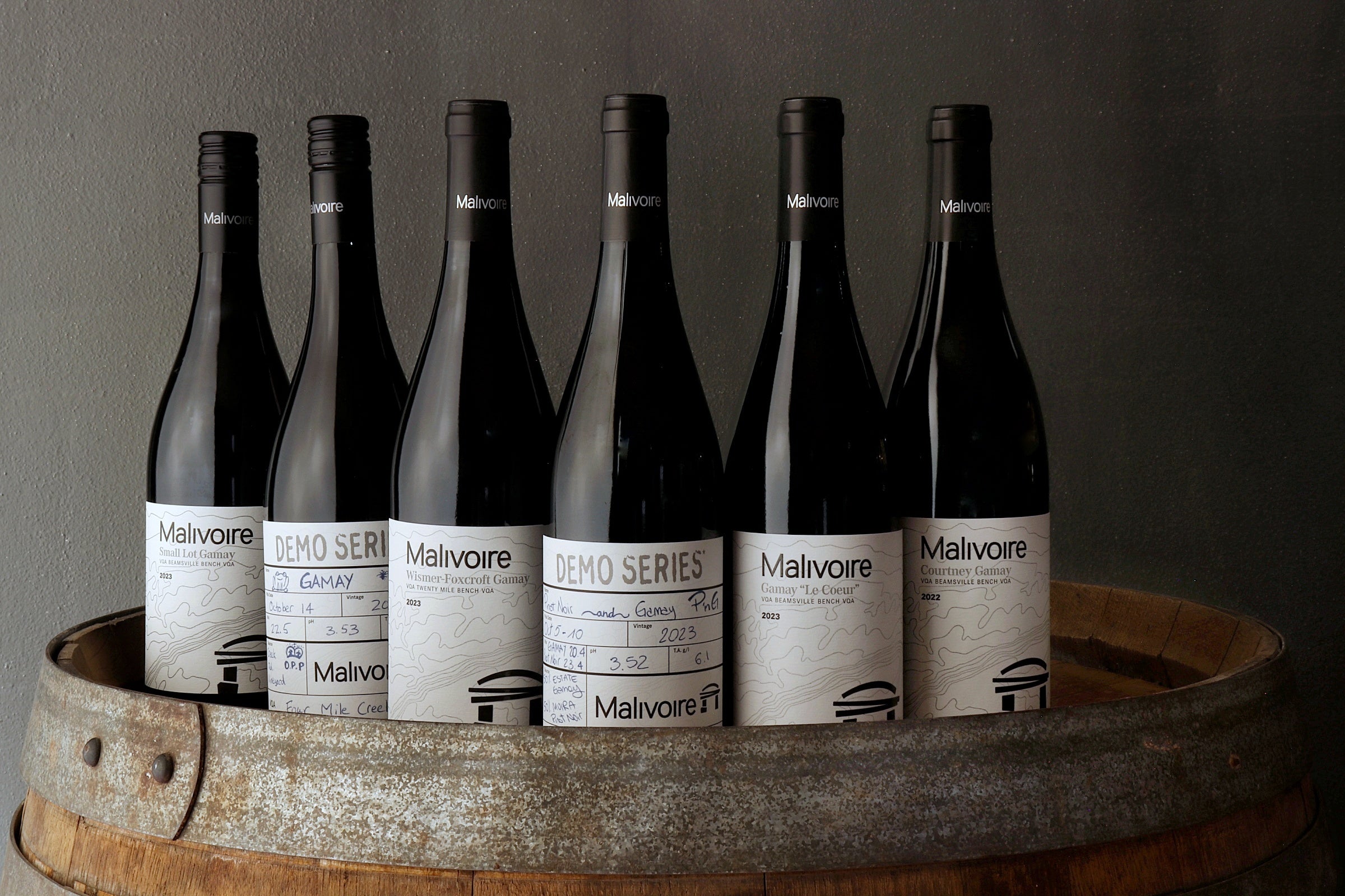 Expressions of GAMAY Collection 2025