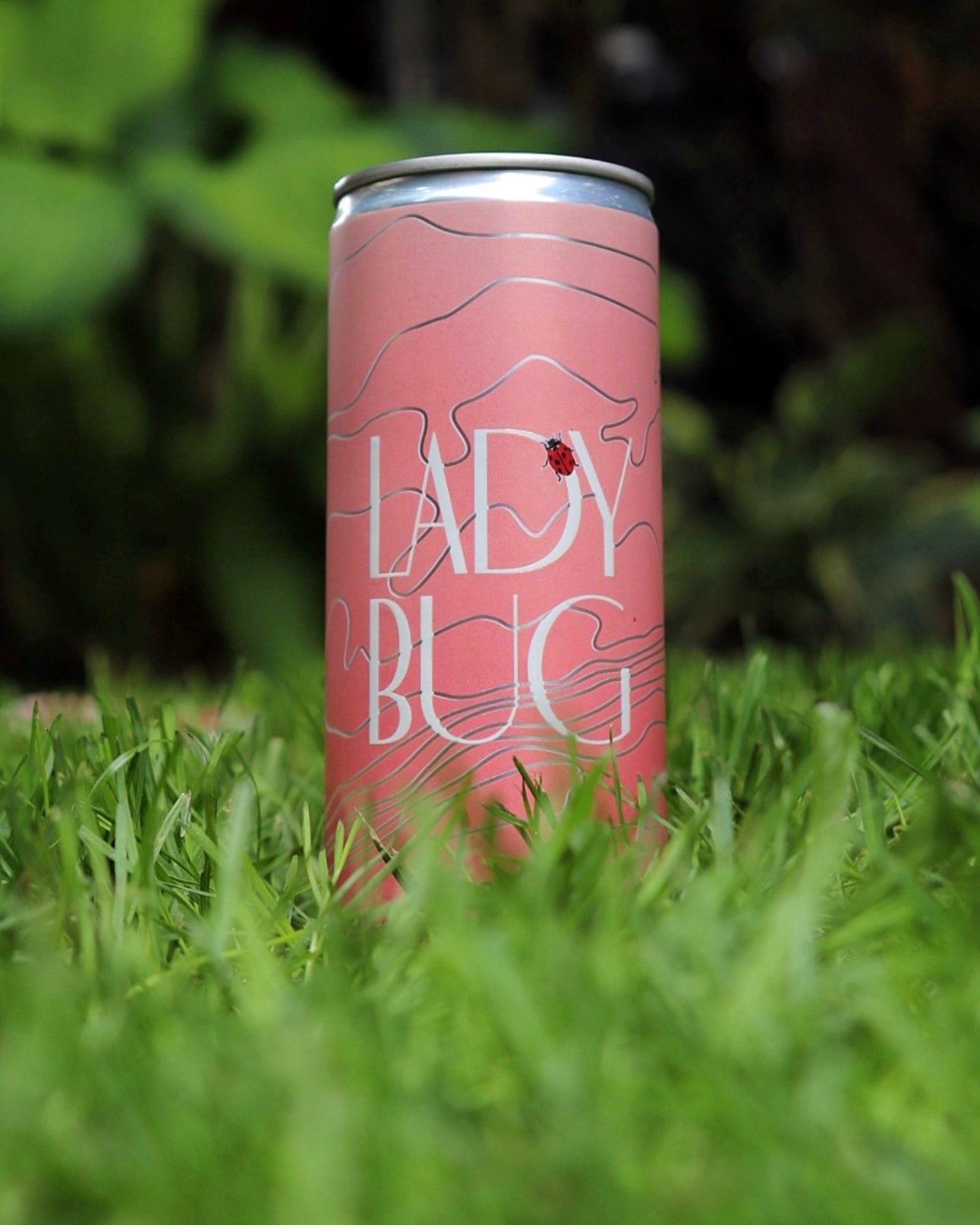 2023 Ladybug Rosé 250 ml Cans INSIDERS SHOP