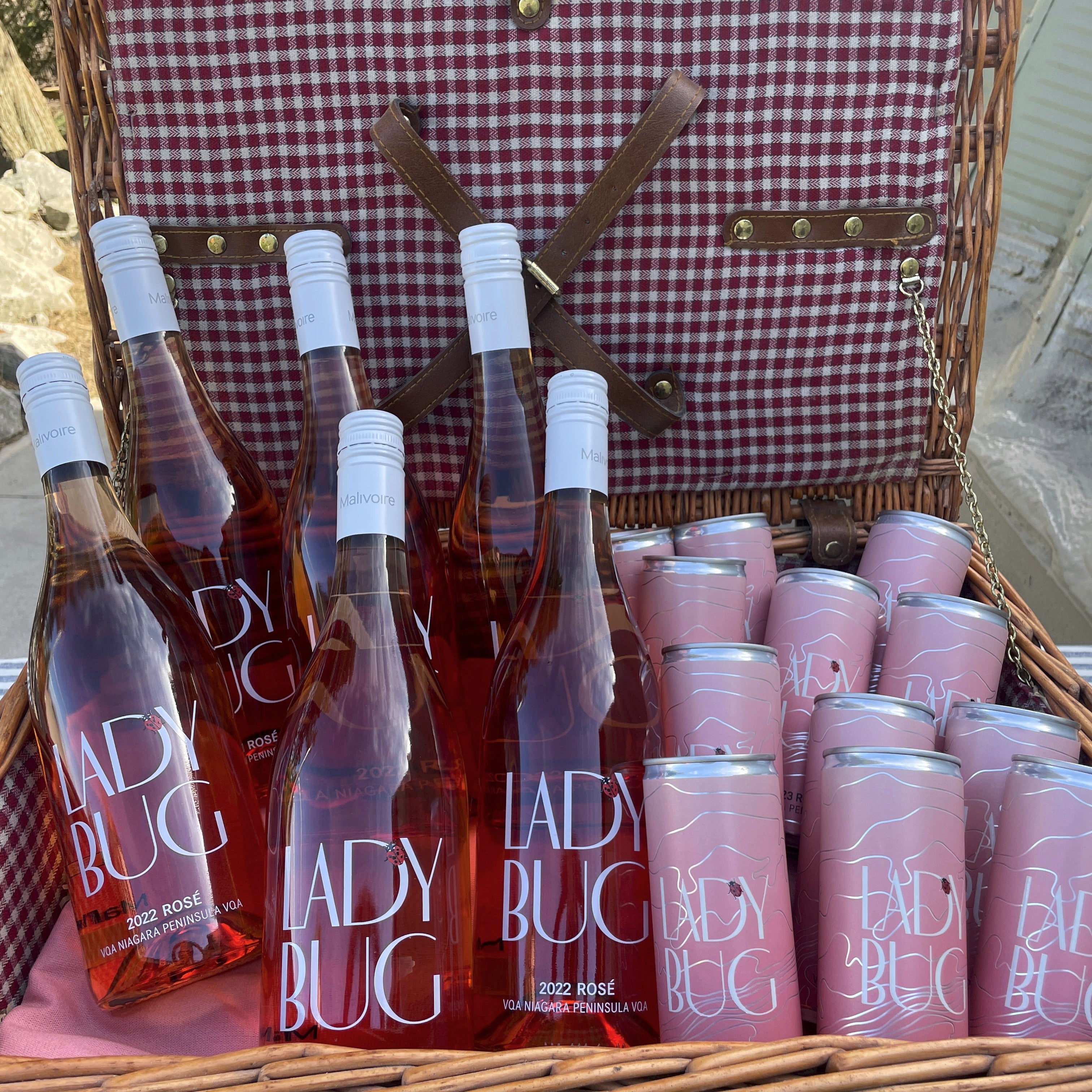 New! Best of Both Worlds - Ladybug Rosé Collection