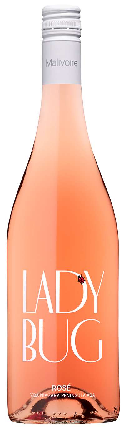 New! Best of Both Worlds - Ladybug Rosé Collection