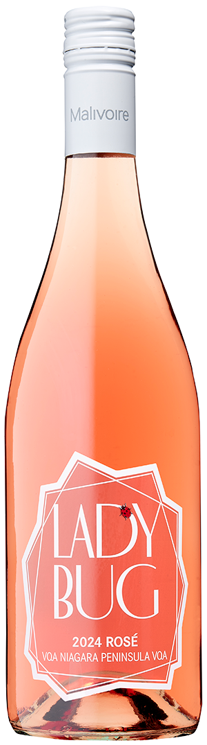 Best of Both Worlds - Ladybug Rosé Collection