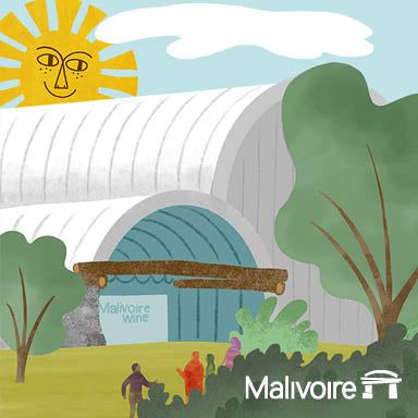 Two for One - Guided Wine Tasting Adventure!