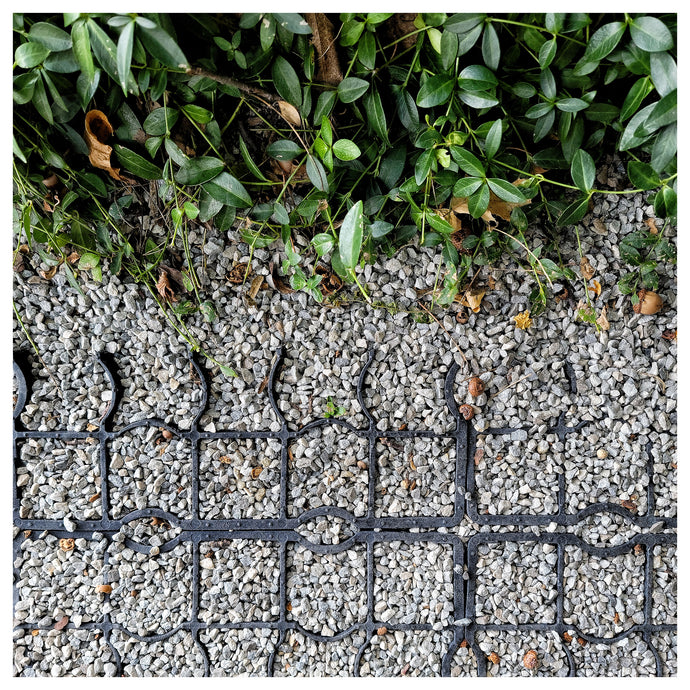 The Story of Ecoraster