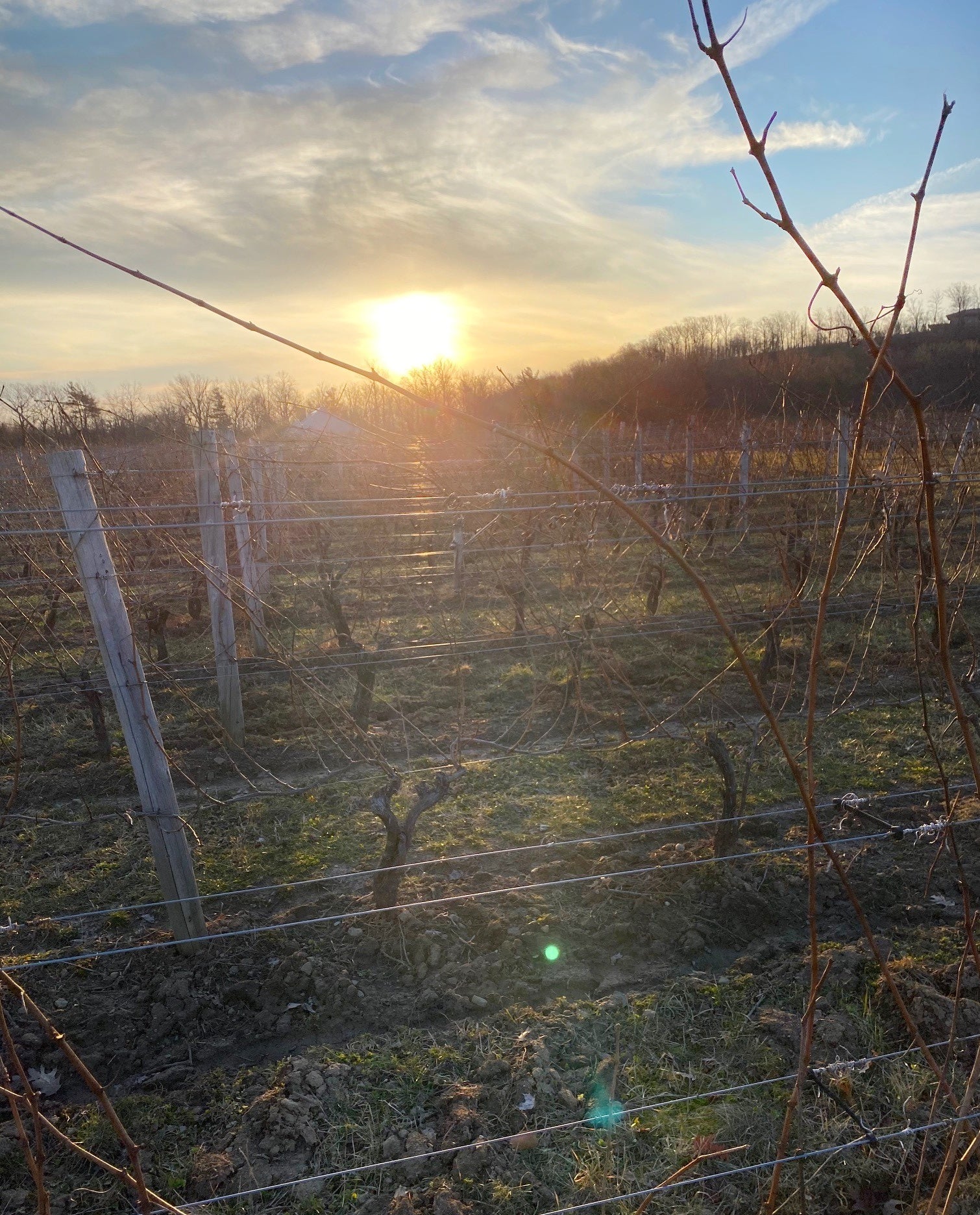 Our Winemaker's Eye on the Sky