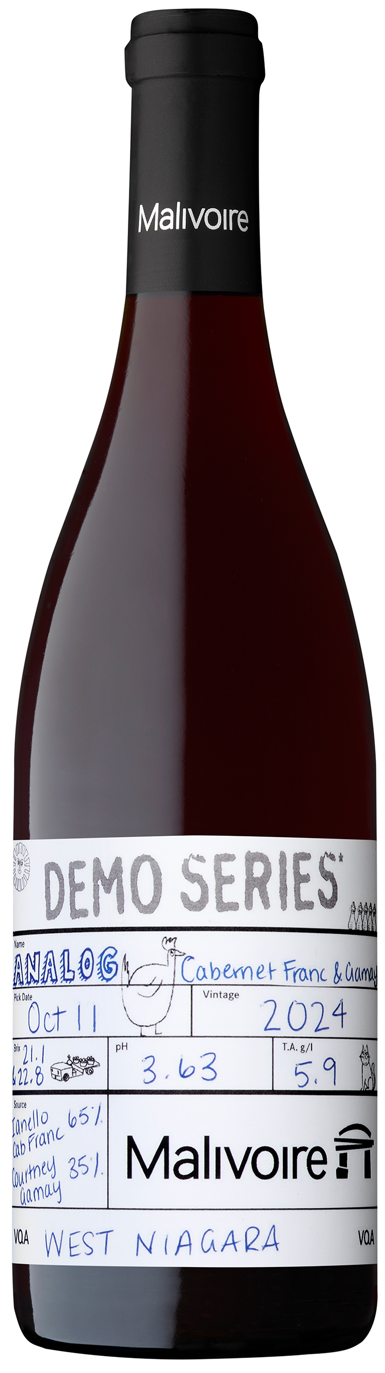 2024 'Demo Series' Analog