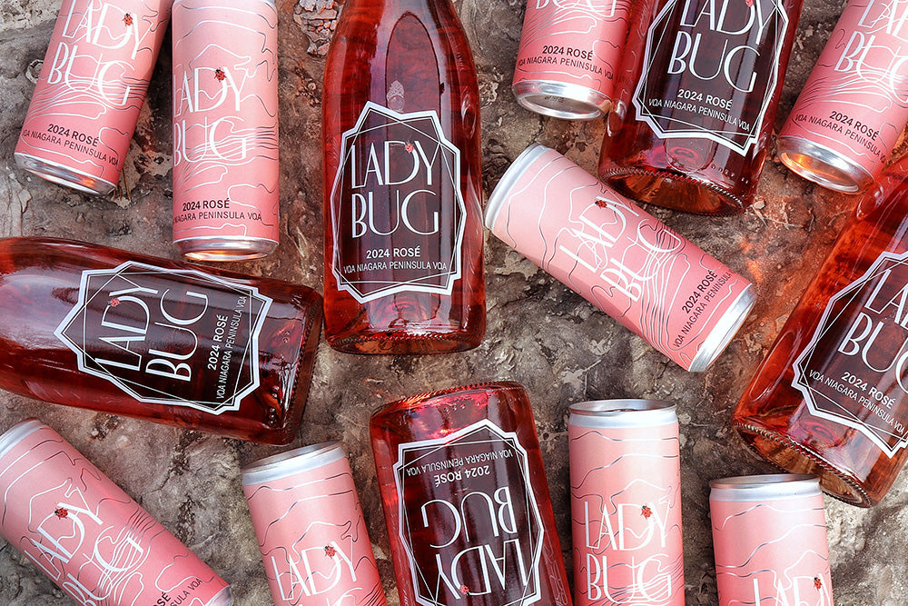 Best of Both Worlds - Ladybug Rosé Collection