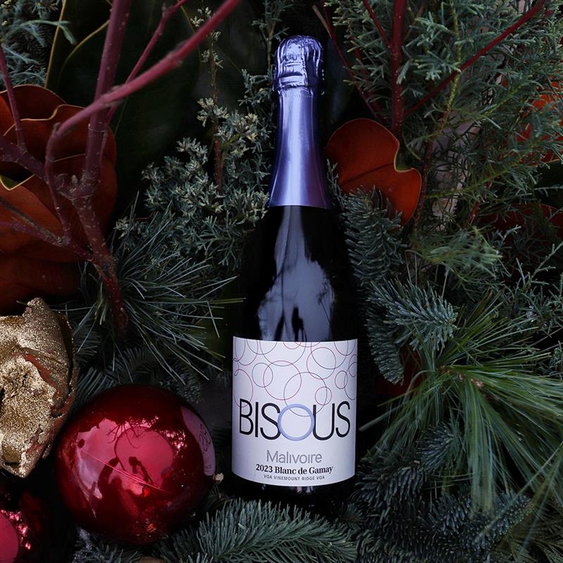 2023 Bisous Blanc de Gamay
