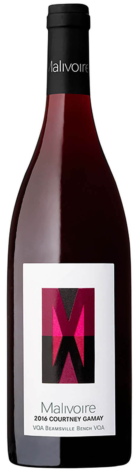 2016 Courtney Gamay - LIBRARY RELEASE