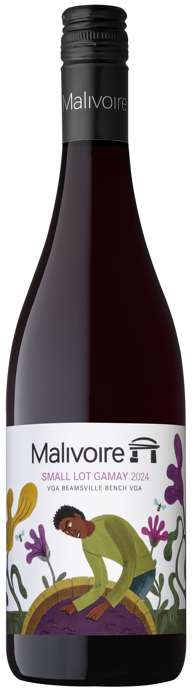 2024 Small Lot Gamay