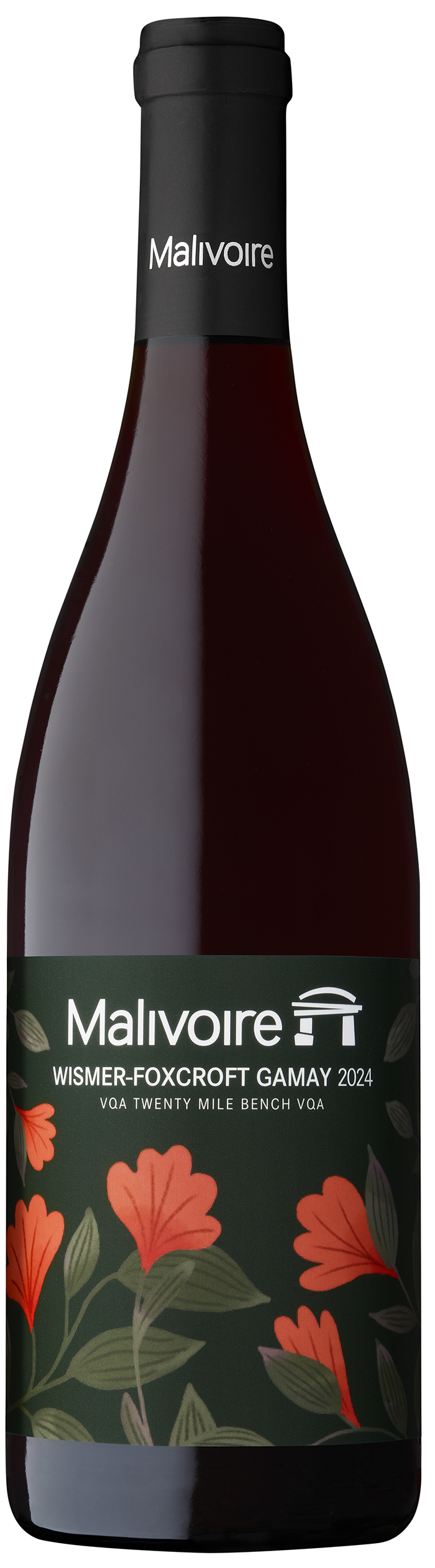 2024 Wismer Foxcroft Gamay