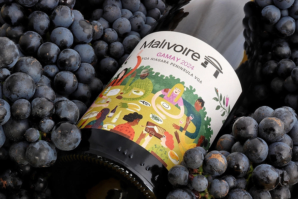 2024 GAMAY