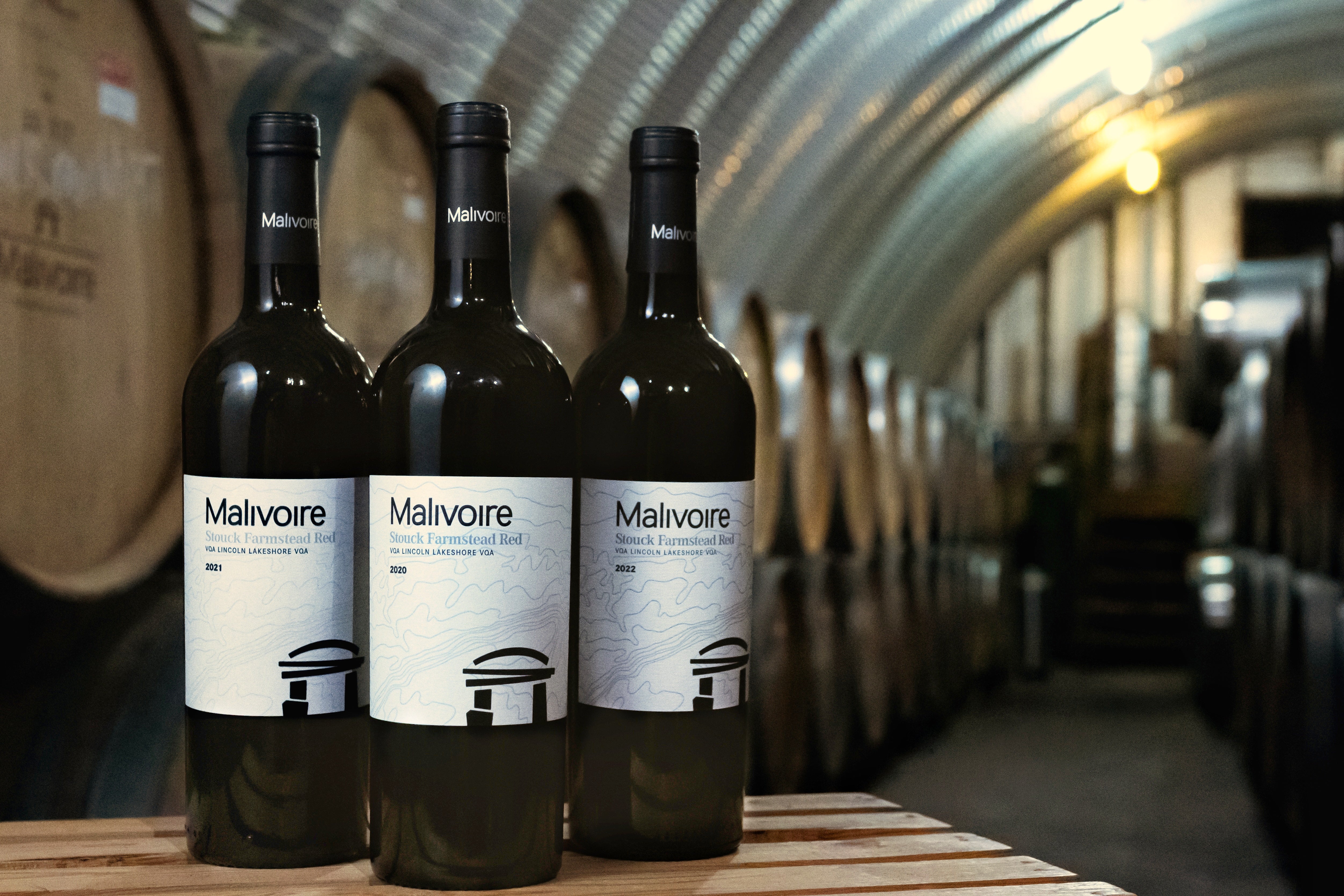 Collection Foch - Passé, Présent et Futur