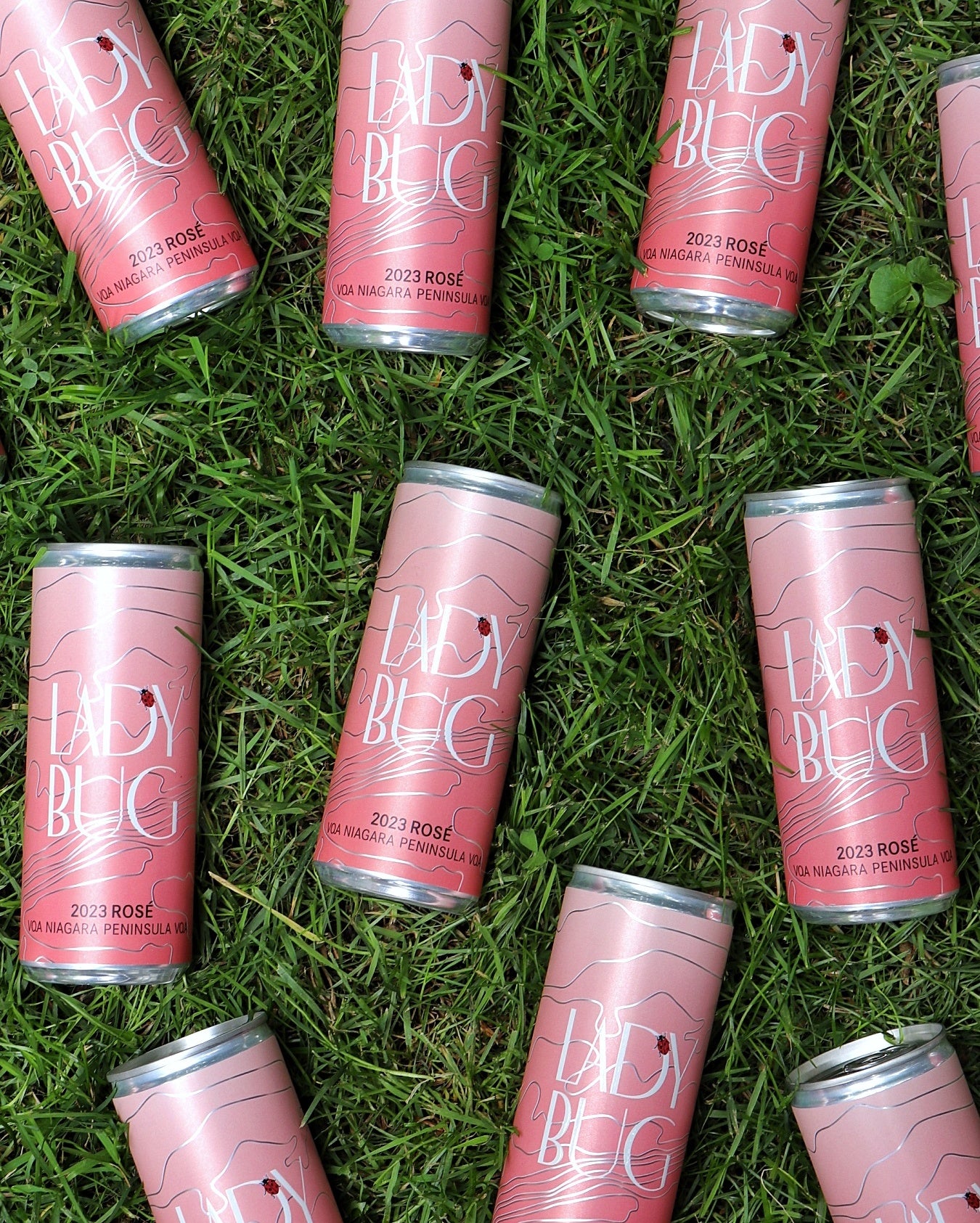2023 Ladybug Rosé 250 ml Cans INSIDERS SHOP