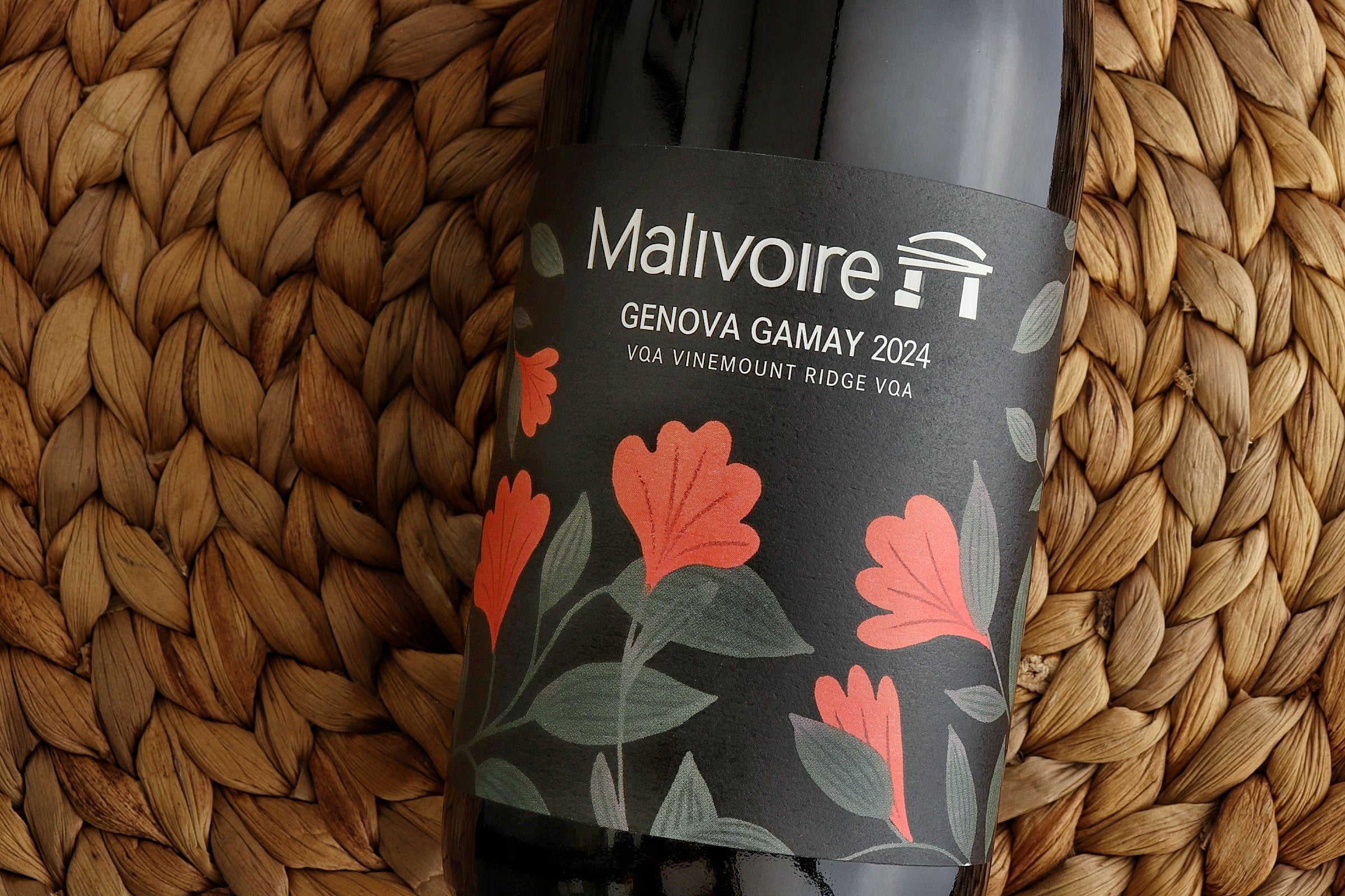 2024 Genova Gamay