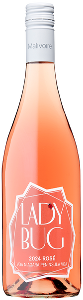 2024 Ladybug Rosé