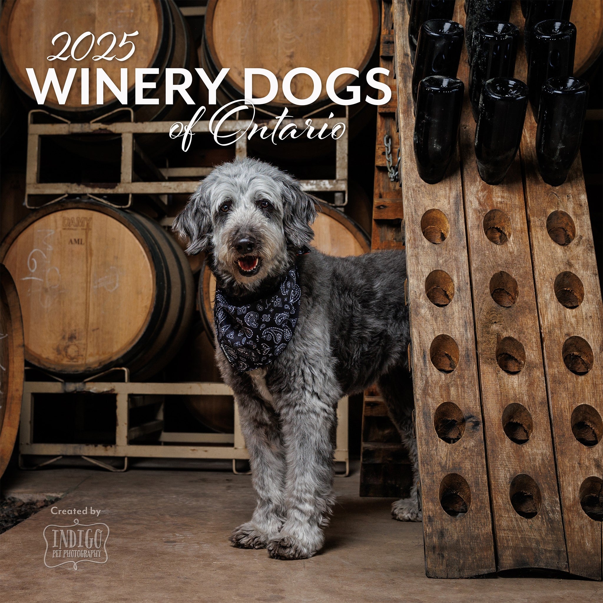 Winery Dogs of Ontario Calendar 2025