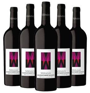 2015 Stouck Cabernet Sauvignon - VQA Lincoln Lakeshore, Malivoire Wine Co.